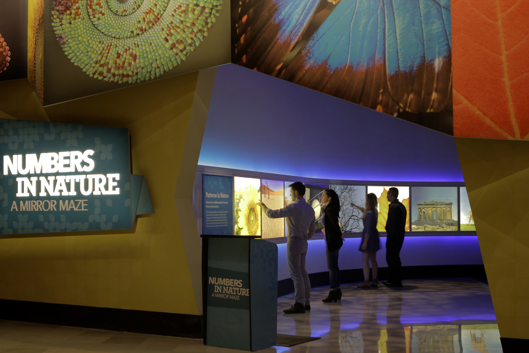 Guests explore one of Leviathan's installations