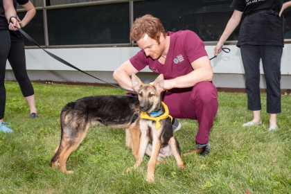 Nick Gehlfuss (photo: Stephen Lotho courtesy of PAWS)